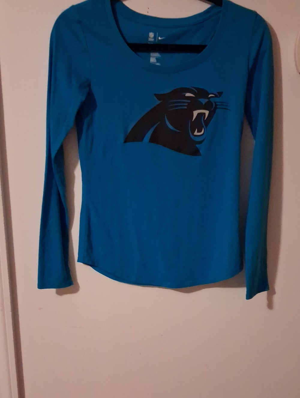 Nike Kids Teal Long-Sleeve Panthers Graphic Tee